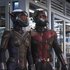 Ant-Man and the Wasp