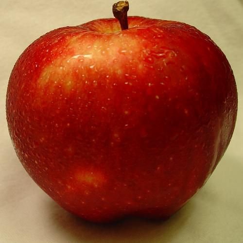 Organic Food