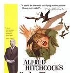 The Birds