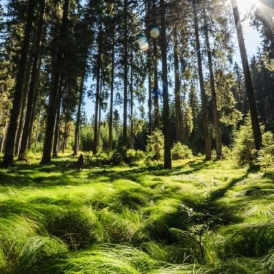 Nature & Outdoors