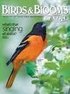 Birds & Blooms Extra