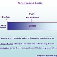 Diseases
