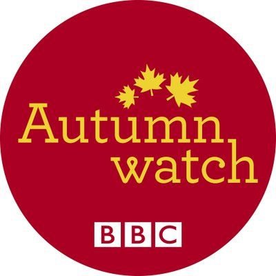 Autumn Watch Trends for Men - First Class Watches Blog