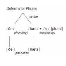 Linguistics
