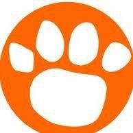 Clemson Tigers football