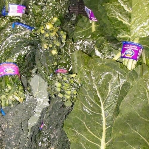 Collard greens