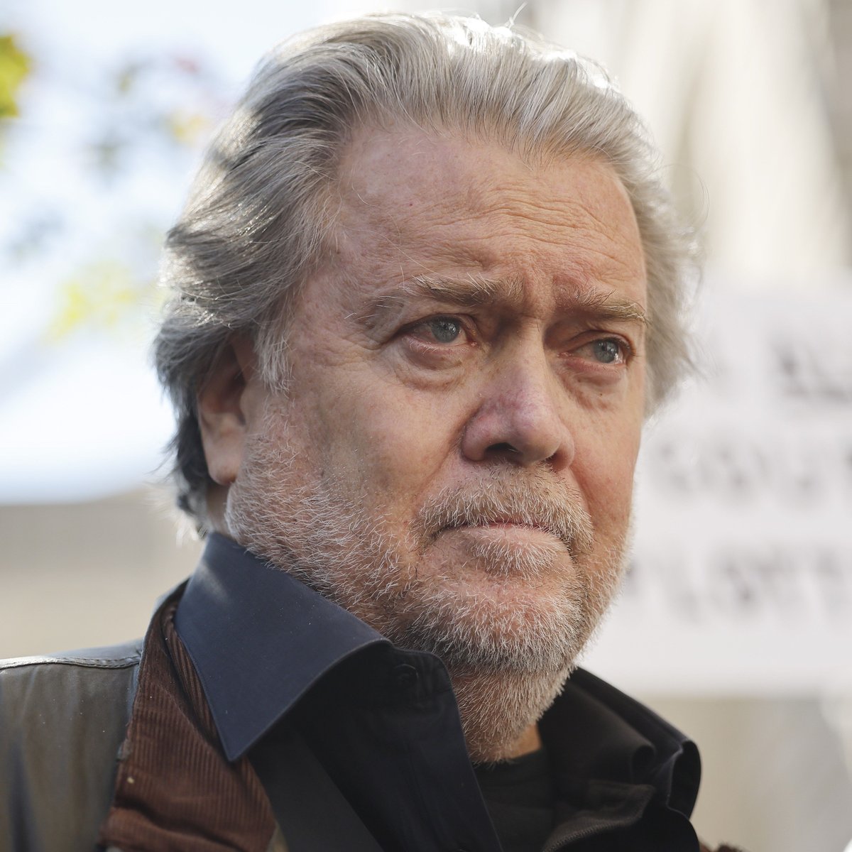 Stephen Bannon