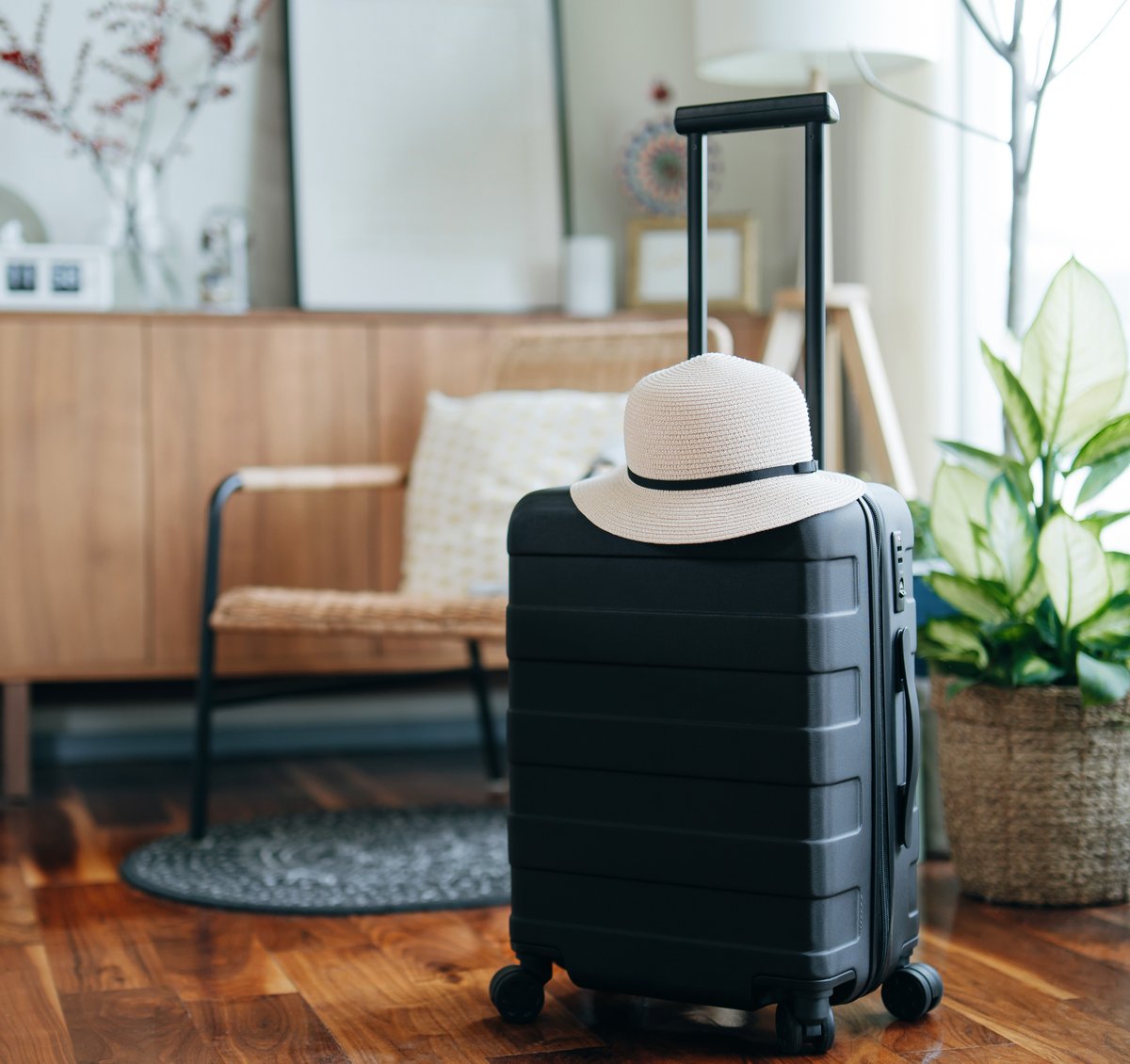 Hotels & Homestays