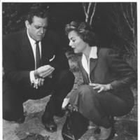 Perry Mason