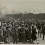 The Holocaust