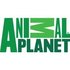 Animal Planet