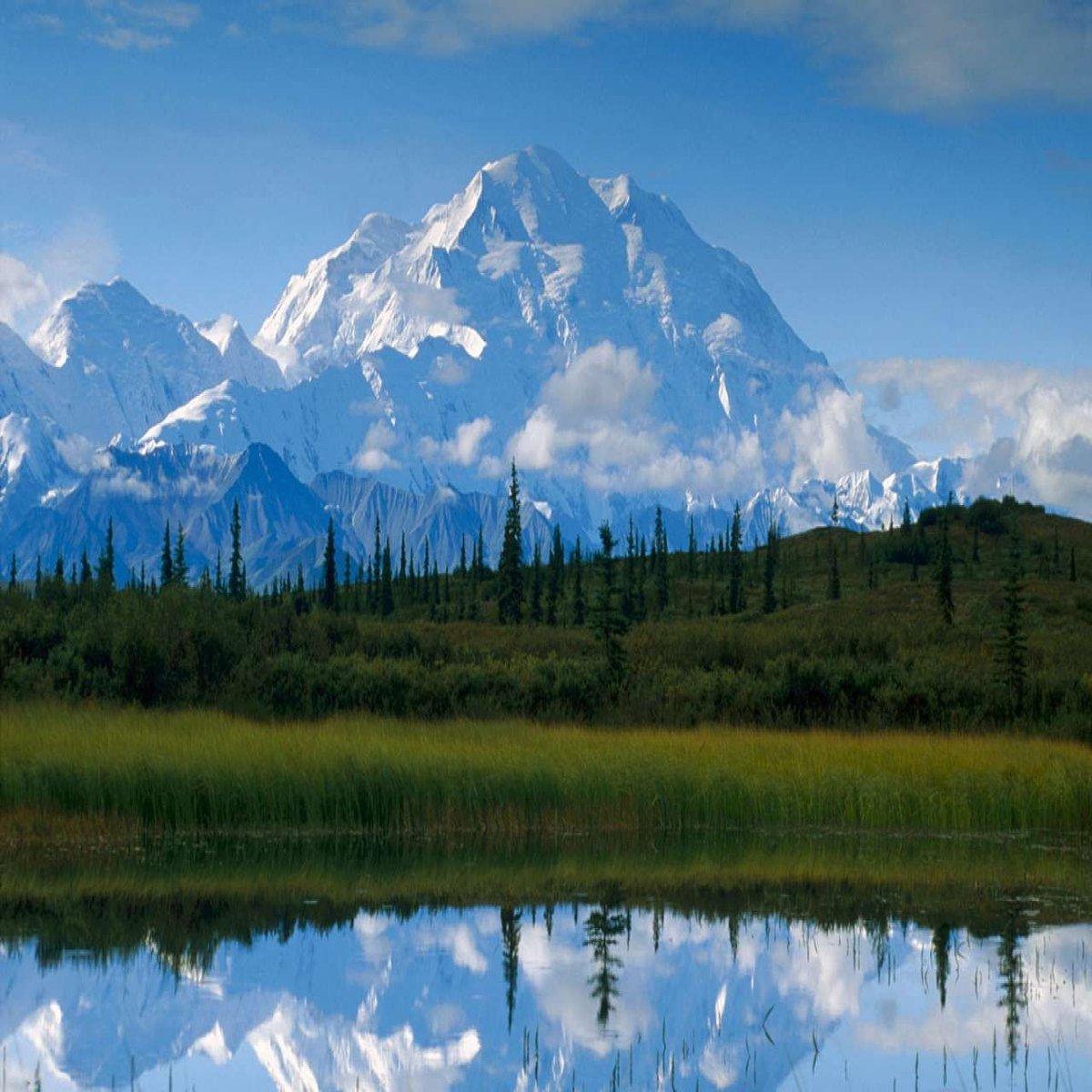 Denali National Park and Preserve