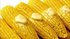 Corn on the Cob