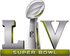 The Super Bowl
