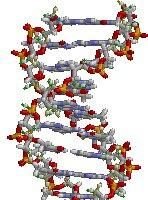 Genetics