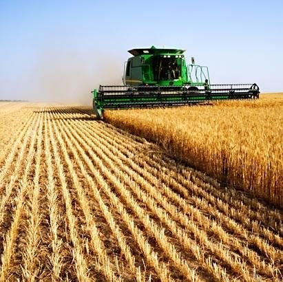 Landwirtschaft und Viehzucht