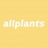 Allplants