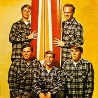 The Beach Boys