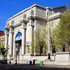 American Museum of Natural History