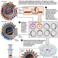 Vaccines