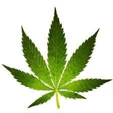 Marijuana