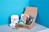 Barkbox Dog Product Subscription Box