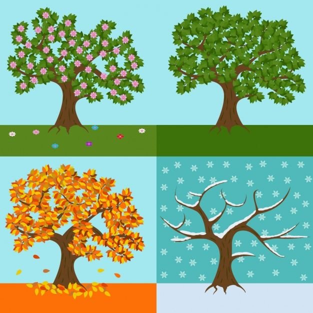 Seasons (Spring, Summer, Autumn, Winter)