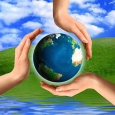 Environmental management
