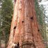 Sequoia National Park