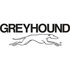 Greyhound