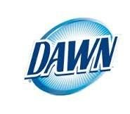Dawn