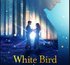 White Bird