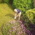 Gardening